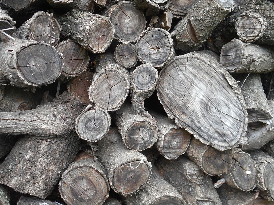 Baum, protokolliert, Textur, Hintergrund, Log, Bauholz, Brennholz, Holz, Vollbild, Stapel, Holzindustrie, Holz - Material, große gruppe von gegenständen, Hintergründe, Fülle, Abholzung, Wald, Holzstapel, Haufen, Nahansicht, Kraftstoff- und Stromerzeugung, keine Leute, Natur, draußen, 5K