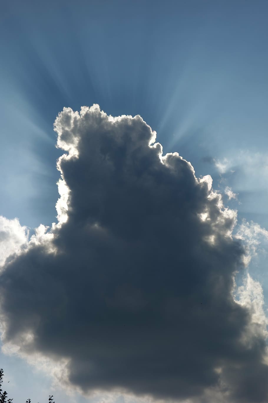 núvol, tempesta, Cúmulus, cloudformation, núvol - cel, cel, bellesa a la natura, tranquil·litat, escenics - natura, naturalesa, escena tranquil·la, vista d’angle baix, dia, idíl·lic, llum solar, cap gent, a l'aire lliure, fons, cloudscape, blau, Color blanc, esponjós, raig de sol, meteorologia, 5K