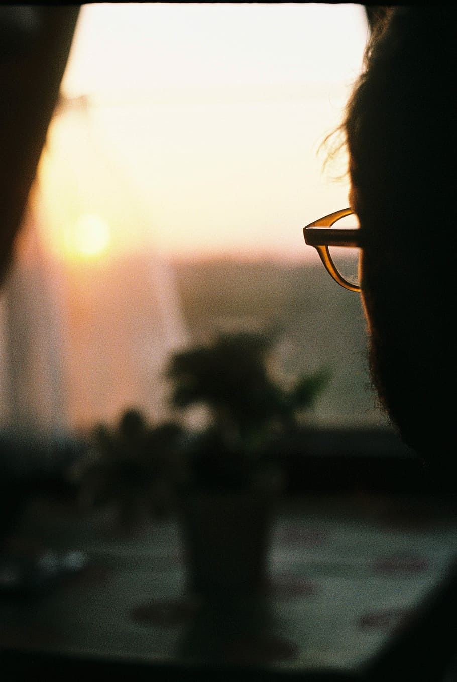 Synet usynde, silhuet, selektiv, fokus fotografering, skæggede, mand, iført, briller, leder, solnedgang, skarp, smuk, sind, lyse, intelligent, en person, voksen, Kvinder, bagfra, hovedskud, portræt, himmel, indendørs, selektiv fokusering, rigtige mennesker, livsstil, vindue, natur, sollys, frisure, tæt på, hår, over skulderet, menneskeligt ansigt, 5K
