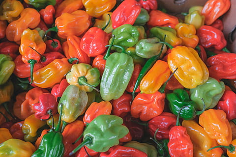 chile pepper lot, re, verd, pebre, Xile, vermell, taronja, menjar i beguda, menjar, vegetals, marc complet, gran grup d'objectes, fons, espècia, abundància, frescor, mercat, alimentació saludable, pebrot, benestar, venda al detall, cap gent, elecció, pebrot picant, multicolor, pebre vermell, 5K, CC0, domini públic, lliure de regalies