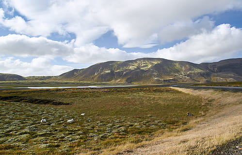 montagne, lontano, aereo, piatto, strada, traccia, pecora, pascolo, paesaggio, prato, vegetazione, Highlands, banca, acqua, lago, stagno, nuvole, natura, a distanza, all'aperto, montagna, ambiente, nuvola - cielo, scenics - natura, cielo, bellezza nella natura, catena montuosa, terra, nessuno, giorno, natura selvaggia, destinazioni di viaggio, viaggio, scena tranquilla, scena non urbana, la tranquillità, semi arido, picco di montagna, 4K, CC0, dominio pubblico, privo di copyright