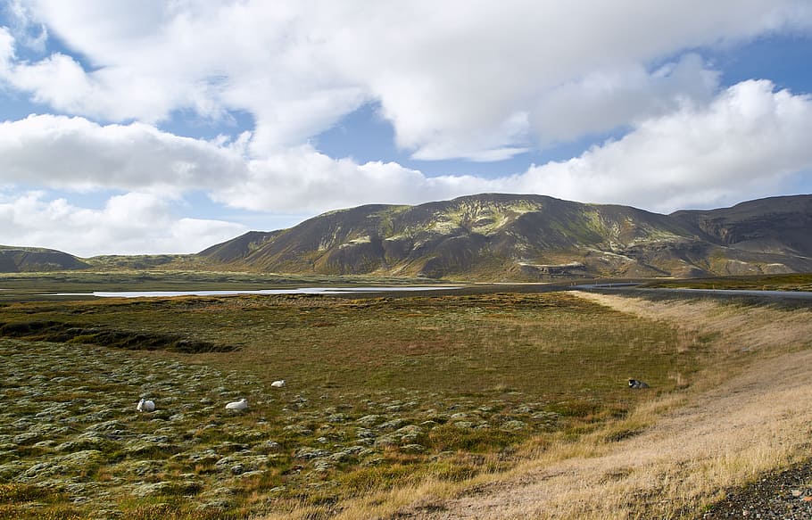 montagne, lontano, aereo, piatto, strada, traccia, pecora, pascolo, paesaggio, prato, vegetazione, Highlands, banca, acqua, lago, stagno, nuvole, natura, a distanza, all'aperto, montagna, ambiente, nuvola - cielo, scenics - natura, cielo, bellezza nella natura, catena montuosa, terra, nessuno, giorno, natura selvaggia, destinazioni di viaggio, viaggio, scena tranquilla, scena non urbana, la tranquillità, semi arido, picco di montagna, 4K