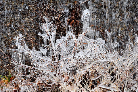is, kristaller, frysning, kall vinter, is, kristaller, fart, kall, vinter-, frost, snö, textur, natur, makro, vit, vatten, naturlig, säsong, kall temperatur, frysta, växt, inget folk, träd, dag, landa, fält, vit färg, närbild, tillväxt, lugn, torr, skönhet i naturen, utomhus, död växt, istapp, häftig snöstorm, 4K, CC0, offentligt domän, royaltyfria