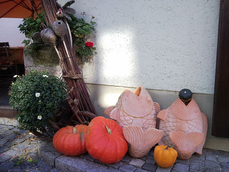 peixos llançats, carbassa, decoració, peix, hauswand, ulm, tardor, menjar, menjar i beguda, planta, cap gent, vegetals, a l'interior, naturalesa, dia, funció de construcció de parets, natura morta, celebració, estructura construïda, vacances - esdeveniment, arquitectura, planta en test, flor, color taronja, 2K