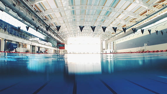 piscina, negre, buntings, a l'interior, blau, arquitectura, cap gent, viatjar, transport, il·luminat, estructura construïda, reflexió, sòls, modern, moviment borrós, absència, manera de transport, moviment, Viatge de negocis, destinacions de viatge, zona de sortida de l'aeroport, vestíbul, aeroport, dia, sortir, sostre, estació, vestíbul d'entrada, brillant, arribada, 4K, CC0, domini públic, lliure de regalies