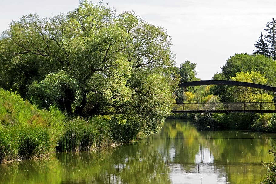 ponte, alberi, riflessione, acqua, torrente, paesaggio, verde, panoramico, parco, natura, lago, stagno, estate, scenario, tranquillo, Canada, albero, pianta, colore verde, scenics - natura, la tranquillità, crescita, bellezza nella natura, nessuno, scena tranquilla, cielo, lungomare, giorno, all'aperto, connessione, 4K