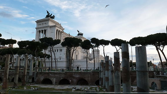 rome, architecture, pie, built structure, sky, building exterior, cloud - sky, architectural column, nature, tree, history, the past, building, day, no people, animal, travel destinations, plant, vertebrate, spirituality, religion, outdoors, 2K, CC0, public domain, royalty free