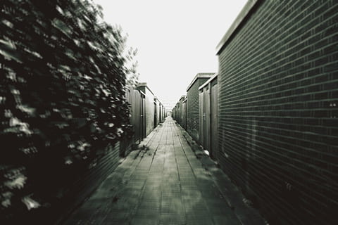grayscale photography, street, architecture, building, structure, establishment, alley, blur, black and white, monochrome, diminishing perspective, in a row, the way forward, no people, day, outdoors, direction, built structure, footpath, vanishing point, nature, building exterior, narrow, sky, clear sky, selective focus, plant, city, long, 5K, CC0, public domain, royalty free