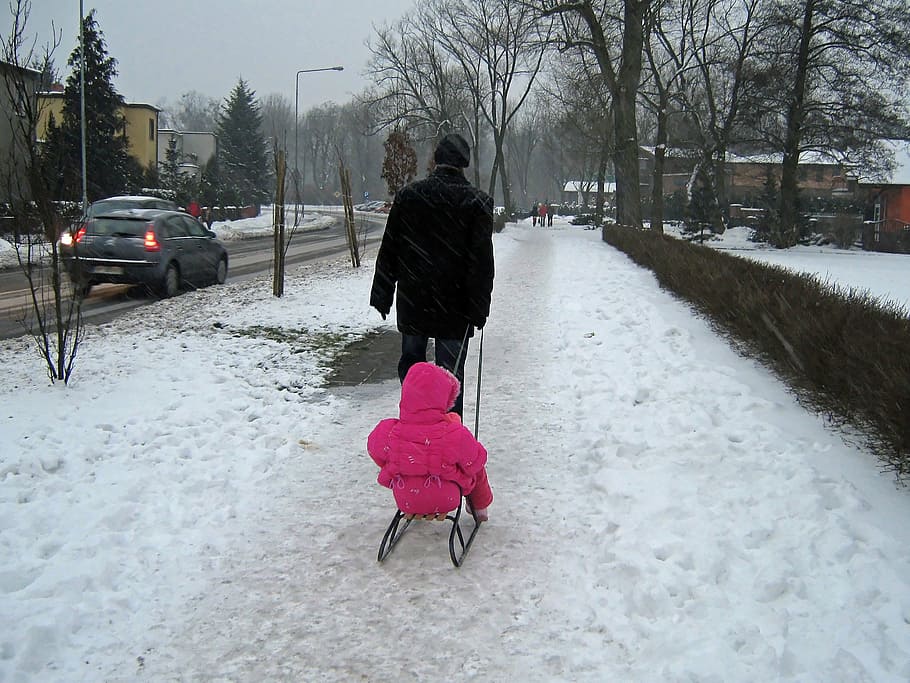 zimowy, śnieg, sanki, zabawa, widok z tyłu, zimna temperatura, prawdziwi ludzie, transport, drzewo, Natura, środek transportu, roślina, dzień, ciepłe ubranie, pojazd lądowy, pokrycie, Miasto, nagie drzewo, odzież, biały kolor, styl życia, ekstremalna pogoda, na dworze, 2K