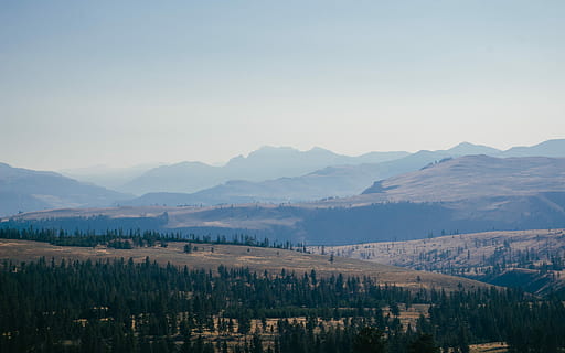top, vedere, munţi, beige dealuri, peisaj, Munte, de munte, copac, pădure, scenice - natura, cer, frumusețe în natură, o scenă liniștită, mediu inconjurator, liniște, scenă non-urbană, nici o persoana, plantă, natură, cer senin, spațiu copie, idilic, la distanta, în aer liber, zi, 5K, CC0, domeniu public, fără drepturi de autor