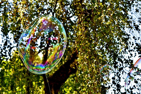 burbuja de jabón, enorme, grande, hacer pompas de jabon, Wabbelig, iridiscente, agua jabonosa, divertido, volar, vistoso, burbuja, multi color, reflexión, árbol, planta, día, naturaleza, vulnerabilidad, de cerca, fragilidad, centrarse en primer plano, nadie, transparente, jabón sud, forma, esfera, al aire libre, forma geometrica, aire, vista de ángulo bajo, 5K, CC0, dominio público, libre de derechos