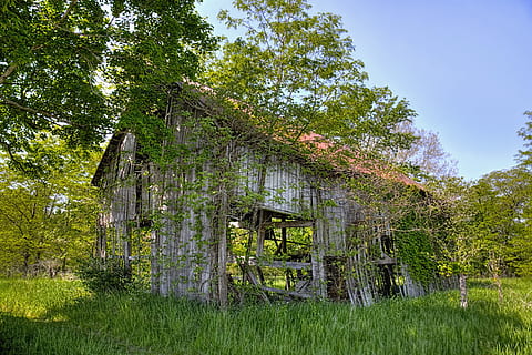 schuur, schuren, rustiek, kunst, digitale kunst, artistiek, getextureerde, Ohio, landelijk, land, landschap, farm, boerderijen, landbouw, Champaign County, vervallen, vervallen schuur, verlaten, verlaten schuur, ongebruikt, ongebruikte schuur, verweerde, verweerde schuur, vergeten, vergeten schuur, americana, structuur, structuren, Sturgell, William Sturgell, rekening sturgell, foto, fotograaf, historisch, huisdecoratie, wolken, hemel, boom, bomen, onkruid, Champaign, provincie, urbana, fabriek, ingebouwde structuur, architectuur, groei, groene kleur, gras, natuur, geen mensen, buitenkant van het gebouw, land-, oud, dag, gebouw, beschadigde, huis, verouderd, buitenshuis, 5K, CC0, publiek domein, royaltyvrij