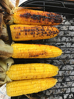 Mais, Küche, Grill, Essen und Trinken, Maiskolben, Gelb, Lebensmittel, Frische, Wohlbefinden, gesundes Essen, Gemüse, Stillleben, keine Leute, Verkauf, High Angle View, Nahansicht, gegrillt, Vorbereitung, Tag, draußen, 4K, CC0, gemeinfrei, lizenzfrei