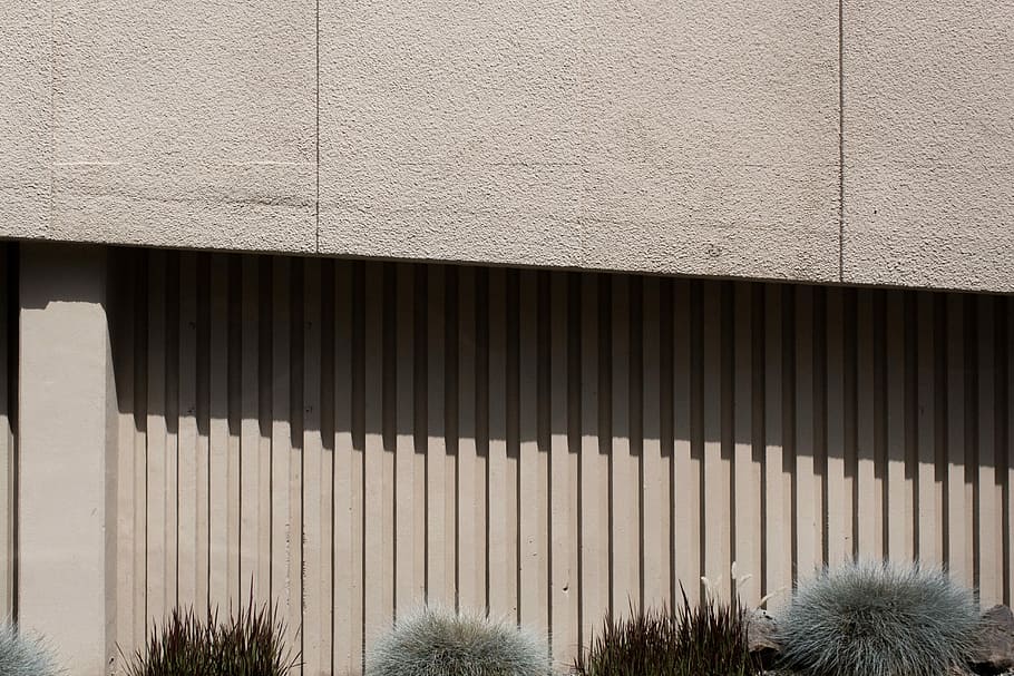 verd, marró, herba, al costat, gris, concret, paret, plantes, edifici, durant el dia, ombra, línia, beix, superfície, repetitiu, patró, textura, Liens, angle, Washington, Seattle, llum, estructura construïda, arquitectura, cap gent, exterior de l'edifici, funció de construcció de parets, dia, a l'aire lliure, naturalesa, metall, corrugat, planta, habitació domèstica, indústria, llum solar, negocis, fons, ferro, garatge, acer, 5K
