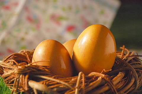 egg, påske, vår, østlig tid, tradisjonen av, påskeegg, fargeegg, farger, i gresset, gress, carol, natur, piske, rede, kurv, shell, ferie, mat, mat og Drikke, spise sunt, velvære, friskhet, nærbilde, ingen folk, frukt, grønnsak, innendørs, feiring, selektiv fokusering, stilleben, fokusere på forgrunnen, høst, rå mat, gruppe av objekter, organisk, 1080P, CC0, offentlig domene, opphavsrett gratis