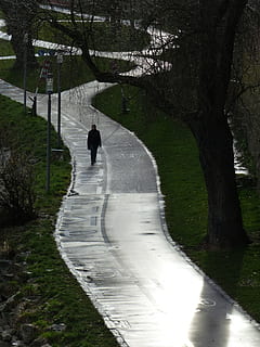 fodgænger, vej, cykelsti, cykelsti netværk, gader, vejnet, Trafik, cyklister, cykling, regn, våd, skinne, træ, plante, rigtige mennesker, natur, sti, retning, dag, gå, vejen frem, livsstil, en person, udendørs, bagfra, fritidsaktivitet, skønhed i naturen, vækst, parkere, herrer, 4K, CC0, offentligt domæne, royaltyfrie