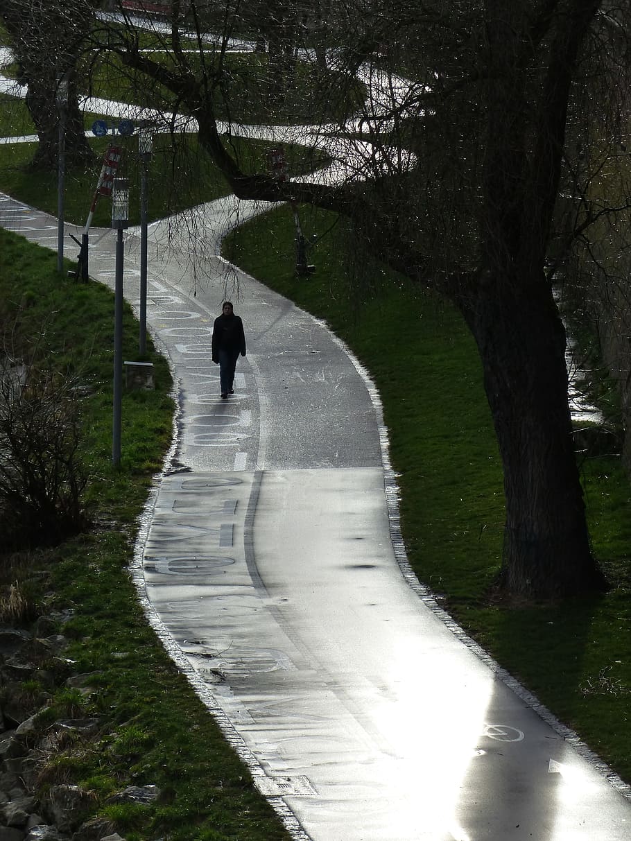 pěší, silnice, cyklostezka, síť cyklostezek, ulicích, silniční sítě, provoz, cyklisty, cyklistika, déšť, mokré, lesk, strom, rostlina, skutečných lidí, Příroda, pěšina, směr, den, chůze, cesta vpřed, životního stylu, jedna osoba, venku, zpětný pohled, volnočasové aktivity, krása v přírodě, růst, park, muži, 4K