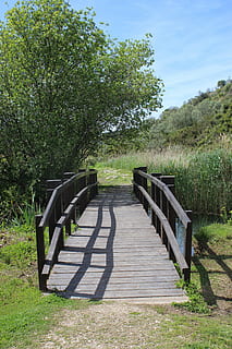 bridge, river, landscape, water, marshes, marshland, natural, scenery, scene, plant, tree, sunlight, nature, green color, growth, shadow, direction, grass, footpath, the way forward, day, tranquility, sky, no people, land, beauty in nature, tranquil scene, field, outdoors, diminishing perspective, long, 5K, CC0, public domain, royalty free