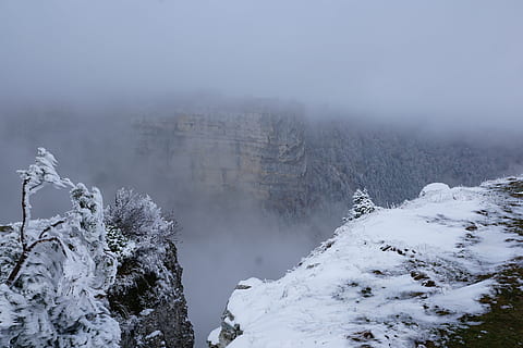 nebbia, inverno, albero, paesaggio, natura, la neve, creux du van, temperatura fredda, bellezza nella natura, scenics - natura, scena tranquilla, la tranquillità, ambiente, montagna, scena non urbana, nessuno, congelato, pianta, terra, idilliaco, all'aperto, tempo estremo, montagna innevata, albero di conifere, 5K, CC0, dominio pubblico, privo di copyright
