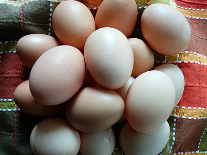 kiaušiniai, Velykų, pobūdį, maisto, ekologiškas, žalias maistas, ruda, gyvūnų kiaušinis, šviežumas, pusryčiai, ūkis, Iš arti, sveika mityba, kiaušinis, Maistas ir gėrimai, nėra žmonių, gerovę, natiurmortas, didelė objektų grupė, patalpose, gausa, balta spalva, aukšto kampo vaizdas, pažeidžiamumas, trapumas, dieną, 2K