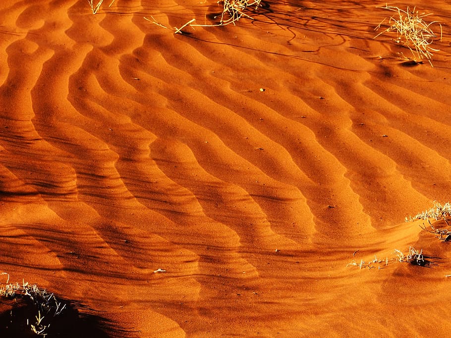 desert, verd, arbres, camp, patró, sorra, taronja, Austràlia, Outback, país, paisatge desèrtic, duna, interminable, sòl, paisatge, naturalesa, ondulacions, cap gent, terra, dia, marró, vista d’angle alt, bellesa a la natura, color taronja, marc complet, tranquil·litat, fons, a l'aire lliure, patró natural, escena no urbana, escenics - natura, llum solar, geologia, clima àrid, clima, 4K