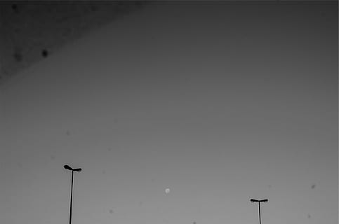 moon, sky, lamp posts, street light, street, lighting equipment, low angle view, copy space, no people, silhouette, nature, technology, clear sky, outdoors, day, vertebrate, bird, animal themes, beauty in nature, floodlight, connection, scenics - nature, light, 1080P, CC0, public domain, royalty free