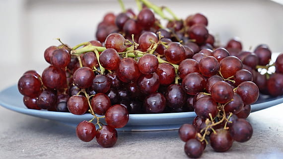 Fresco, Fruta, uva, comida y bebida, alimentación saludable, frescura, comida, bienestar, gran grupo de objetos, de cerca, nadie, naturaleza muerta, uva roja, adentro, abundancia, centrarse en primer plano, manojo, agricultura, Cereza, maduro, mesa, 2K, CC0, dominio público, libre de derechos