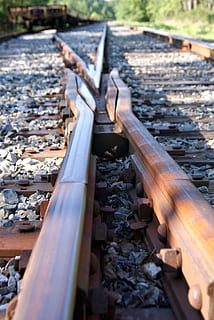 ferrocarril, Corbata, entrenar, moho, viaje, transporte ferroviario, pista, vías de tren, metal, día, nadie, naturaleza, transporte, enfoque selectivo, al aire libre, luz del sol, vista de alto ángulo, material de madera, abandonado, antiguo, hoja, arquitectura, parte de la planta, atropellar, otoño, grava, nivel de la superficie, 1080P, CC0, dominio público, libre de derechos