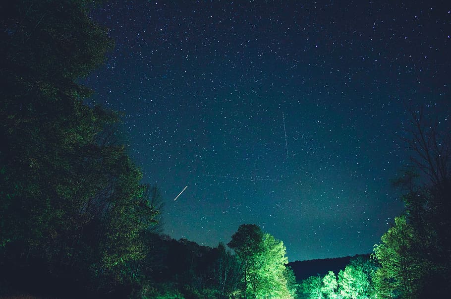 Foto, grøn, bladede, planter, træer, stjernehimmel, træ, stjerne, himmel, Skov, lys, stjerneskud, nat, aften, udendørs, natur, astrologi, astrofotografering, ødemark, blå, stjerne trail, nattehimmel, stjerne - rum, plads, astronomi, skønhed i naturen, ro, scenics - natur, plante, rolig scene, stjerne felt, ingen mennesker, lav vinkel visning, vækst, grøn farve, uendelighed, idyllisk, rum og astronomi, 4K