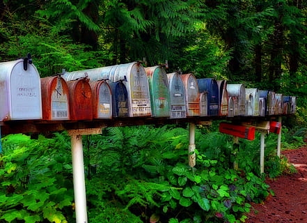válogatott színes dobozok, postafiók, postaláda, betűk, mailek, csiga mail, csomagok, kézbesítés, postás, postai, szolgáltatás, hagyományos, USA, növény, sorban, nap, természet, zöld szín, nem ember, fa, növekedés, föld, elrendezés, szabadban, egymás mellett, bőség, mező, nagy objektumcsoport, tartály, többszínű, közlés, üzleti, 2K, CC0, közkincs, jogdíjmentes
