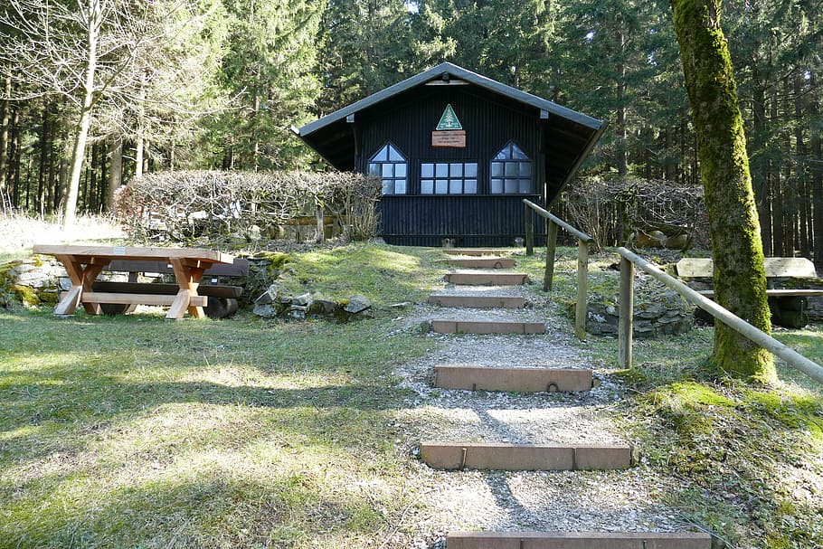idylický, les, jaro, romantický, turistika, relaxace, tichý, stavba, Dům, strom, architektura, nikdo, den, rostlina, Příroda, exteriér budovy, růst, dřevo - materiál, přistát, klid, klidné scény, cesta vpřed, budova, venku, směr, schodiště, 5K