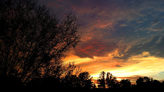 Silhouette Fotografie, Baum, Horizont, Sonnenuntergang, Wolken, Silberstreifen, motivierend, Achtsamkeit, Wolkengebilde, Himmel, Sonnenlicht, achtsam, Glück, inspirierend, Motivation, wolkig, Reise, Leben, Licht, Silhouette, Pflanze, Schönheit in der Natur, orange Farbe, wolke - himmel, Szenen - Natur, Ruhe, ruhige Szene, Wachstum, Natur, keine Leute, Flachwinkelansicht, idyllisch, Dramatischer Himmel, draußen, Nicht-städtische Szene, Ast, Wipfel, 5K, CC0, gemeinfrei, lizenzfrei