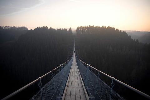 hanging, foot bridge, dusk, suspension Bridge, bridge - Man Made Structure, outdoors, fog, nature, famous Place, sky, travel, river, no People, railing, the way forward, night, scenics, connection, tree, direction, architecture, transportation, tranquility, tranquil scene, scenics - nature, diminishing perspective, land, built structure, vanishing point, bridge, forest, beauty in nature, footbridge, 5K, CC0, public domain, royalty free