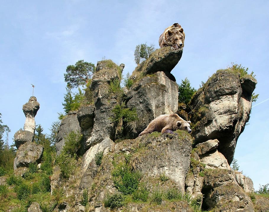 composició, processament d'imatges digitals, Photoshop, rock, pottenstein, vista d’angle baix, sòlid, rock - object, cel, dia, formació de roca, naturalesa, cap gent, planta, mamífer, arbre, animal, fauna animal, temes d'animals, a l'aire lliure, vertebrats, grup d’animals, arquitectura, terra, 1080P