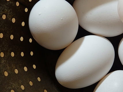 eggs, rustic, farming, boho, egg, white color, studio shot, no people, close-up, full frame, healthy eating, food, freshness, black background, animal egg, indoors, food and drink, fragility, vulnerability, wellbeing, eggshell, group of objects, shell, still life, raw food, protein, 4K, CC0, public domain, royalty free