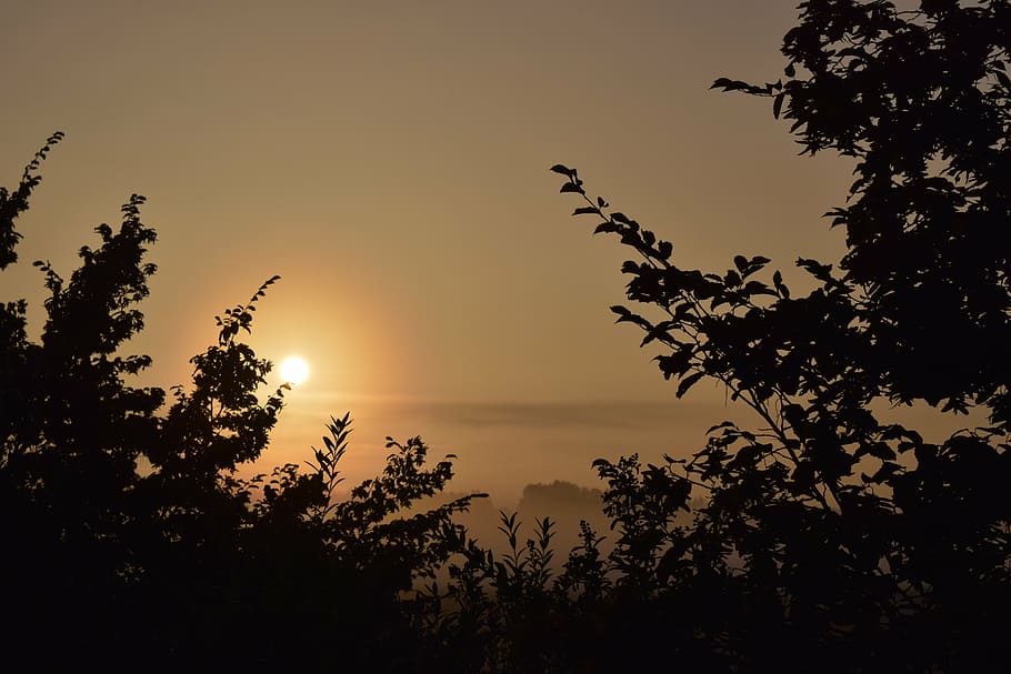 silueta, antecedents de la planta, muntanya, ombra, arbres, llum de fons, sortida del sol, morgenrot, sol, brillant, descans, pacífica, humor, targeta de felicitació, paisatge, romàntic, arbre, posta de sol, escenics, cap gent, naturalesa, escena tranquil·la, a l'aire lliure, cel, tranquil·litat, planta, bellesa a la natura, escenics - natura, aigua, idíl·lic, mar, creixement, escena no urbana, color taronja, llum solar, 5K