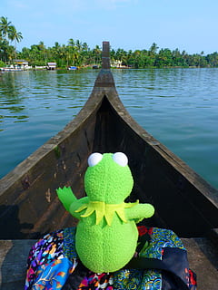 boot, go boating, water, backwaters, frog, kermit, nature, representation, day, wood - material, lake, toy, no people, plant, animal representation, outdoors, pier, sky, close-up, green color, beauty in nature, tree, tranquility, 4K, CC0, public domain, royalty free