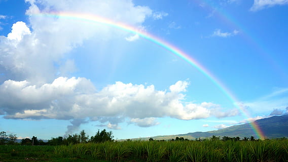 arco iris durante el día, cielo, arco iris, nubes, cielo arcoiris, azul, naturaleza, color, paisaje, verano, nube - cielo, belleza en la naturaleza, paisajes - naturaleza, ambiente, planta, tranquilidad, escena tranquila, árbol, tierra, montaña, idílico, día, escena no urbana, nadie, luz del sol, al aire libre, doble arcoiris, meteorología, 2K, CC0, dominio público, libre de derechos