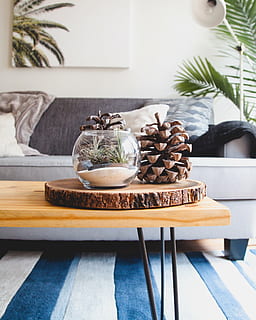 pinecone, puinen, levy, kahvipöytä, talo, sisusta, sohva, elävä, huone, pöytä, lasi-, näyttö, havupuu, kartio, kasvi, koriste, kodin huone, sisällä, sisustus, ei ihmisiä, moderni, kodin sisustus, ruoka, ruoka ja juoma, makea ruoka, tuoreus, jälkiruoka, keskittyä etualalle, asetelma, makea, päivä, hemmottelu, luonto, valmis syömään, ruukkukasvi, huonekalut, houkutus, tarjotin, 2K, CC0, public domain, rojaltivapaa