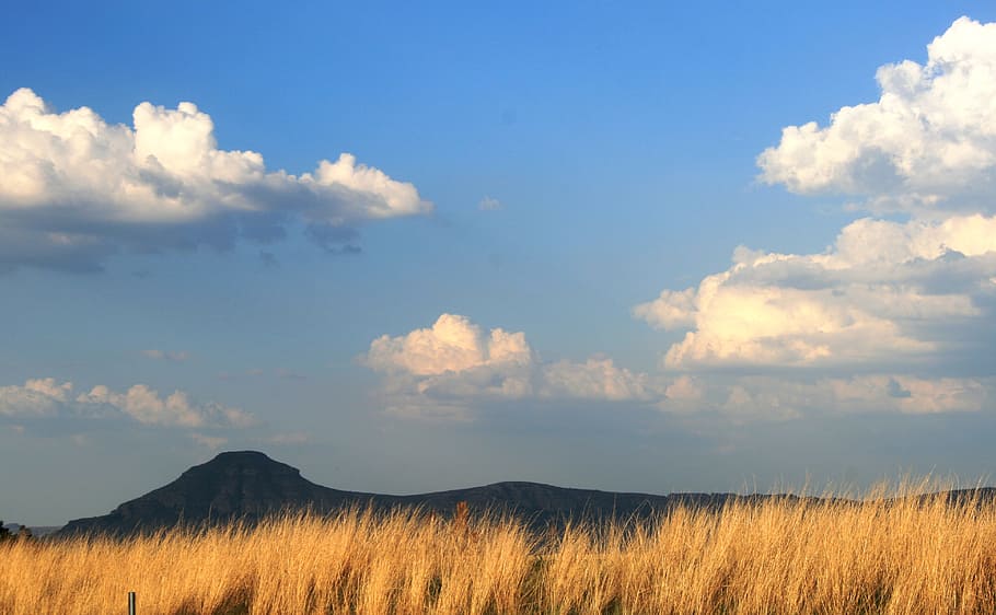 himmel, skyer, bjerg, græs, okker, landskab, sky - himmel, skønhed i naturen, scenics - natur, miljø, plante, jord, natur, rolig scene, ingen mennesker, ro, ikke-urbane scene, dag, udendørs, vækst, blå, cloudscape, 4K