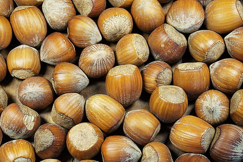 nut lot, hazelnut, shell, brown, nuts, food, nut, tasty, eat, nutshells, autumn, nibble, breaking up, nutcracker, healthy, full frame, backgrounds, large group of objects, food and drink, freshness, still life, abundance, wellbeing, healthy eating, no people, nut - food, close-up, for sale, retail, day, market, 5K, CC0, public domain, royalty free