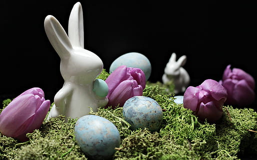 blanc, conill, il·lustració d’òvuls, llebre, conill de Pasqua, Pasqua, primavera, figura, tulipes, porpra, tulipes morades, flors morades, decoració, ceràmica, decoració de pasqua, molsa, ou, blau, ous blaus, dekoeier, papallona, deco, Feliç Pasqua, salutació de pasqua, tema de pasqua, costums, invitació, estat de Pasqua, salutacions de pasqua, tradició, consum de primavera, mapa, targeta de felicitació, postal, salutació, ou de Pasqua, flor, cultures, cap gent, fons negre, herba, primer pla, tir de l'estudi, planta, planta amb flors, naturalesa, celebració, festa, frescor, bellesa a la natura, color rosa, safrà, cap de flor, 4K, CC0, domini públic, lliure de regalies