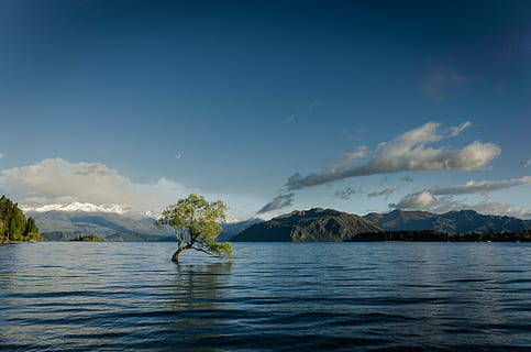 green, leafed, tree, body, water, landscape photography, rippling, background, mountains, golden, hour, flood, lake, tranquil, scenic, mountain, sky, cloud, landscape, sea, nature, calm, force, strong, scenics - nature, waterfront, beauty in nature, cloud - sky, tranquil scene, tranquility, non-urban scene, day, idyllic, rippled, blue, no people, nautical vessel, outdoors, 4K, CC0, public domain, royalty free