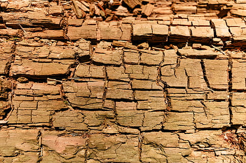 fusta vella, resum, naturalesa, sec, esquerdat, fons, marró, textura, patró, brutícia, sequera, clima àrid, fang, desert, terra, argila, aspre, terrenys extrems, marc complet, clima, cap gent, escenics - natura, estèril, medi ambient, dia, vista d’angle alt, camp, a l'aire lliure, pneumàtic, efecte texturat, 4K, CC0, domini públic, lliure de regalies