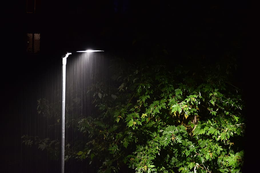 lanterne, træ, nat, gade, regn, lanterne, træ, udendørs, let, dråber, belyst, ingen mennesker, lang eksponering, sort baggrund, plante, natur, mørk, bevægelse, skønhed i naturen, vand, jord, vandfald, Skov, vækst, belysningsudstyr, ro, scenics - natur, grøn farve, regnskov, 5K