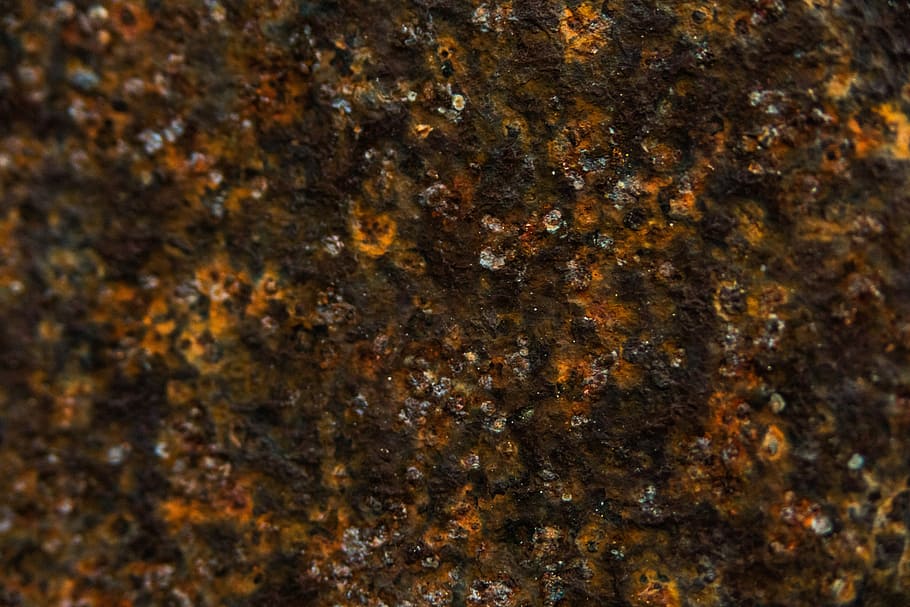 rain drops, untitled, texture, background, old, metal, rusty, backgrounds, full frame, close-up, no people, textured, solid, brown, nature, rough, pattern, abstract, outdoors, day, selective focus, rock, rock - object, tree trunk, extreme close-up, tree, weathered, abstract backgrounds, lichen, textured effect, 8K