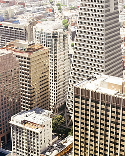 bianca, beige, calcestruzzo, edifici, giorno, grattacielo, scena urbana, paesaggio urbano, città, architettura, distretto del centro, skyline urbano, esterno dell'edificio, Stati Uniti d'America, vista aerea, edificio per uffici, struttura costruita, vita di città, posto famoso, all'aperto, moderno, vista dall'alto, alto - alto, Torre, costruzione, edificio per uffici esterno, nessuno, quartiere residenziale, ufficio, natura, destinazioni di viaggio, sviluppo, appartamento, 4K, CC0, dominio pubblico, privo di copyright