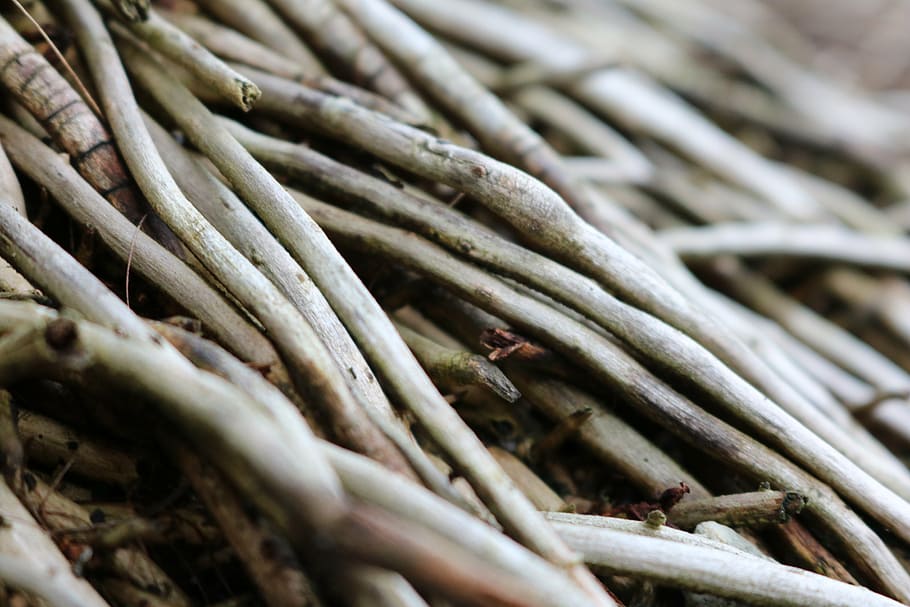 makro, dřevo, vzor, textura, struktura, Pozadí, starý, prkno, hnědý, Příroda, přízemní, dřevěná konstrukce, letokruhy, starověké, knothole, estetický, tkát, jídlo, nikdo, celý rám, jídlo a pití, detail, hojnost, velká skupina objektů, selektivní zaměření, den, stálý život, blahobyt, Zdravé stravování, svěžest, trh, venku, vysoký úhel pohledu, rostlina, dřevo - materiál, hůl - rostlina část, 5K