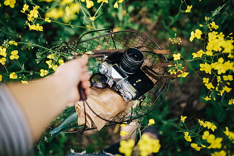 vintage, camera, field, blooming, rapes, Woman, summer, bloom, photography, photographer, hobby, rape, rapeseed, spring, zenit, passion, nature, camera - Photographic Equipment, one Person, people, outdoors, hobbies, women, forest, one man only, adult, human body part, plant, human hand, hand, holding, real people, men, flower, leisure activity, land, growth, day, flowering plant, selective focus, lifestyles, 4K