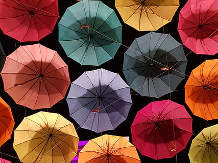 fotografie cu fotografie, culori asortate, desfășura, umbrele, umbrelă, model, non, nor, vreme innorata, viziune nocturnă, vreme, umed, apa de ploaie, Republica Coreea, frumos, curcubeu, Everland, Coreea, turnare, ploaie torentiala, cultură, artă, cort, ploaie de primăvară, umbrelă de soare, diversitate, diferit, multiplu, colorat, nailon, mulți, devenire, protecţie, multi colorate, Securitate, alegere, cadru complet, variație, nici o persoana, agăţat, vedere unghiulară joasă, arhitectură, în aer liber, piaţă, grup mare de obiecte, cer, stand de piață, consecutiv, 4K, CC0, domeniu public, fără drepturi de autor
